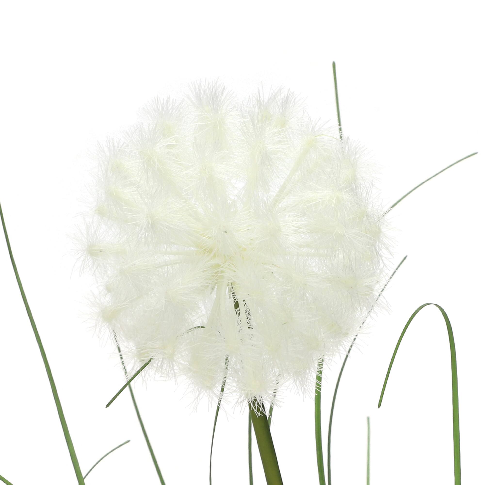 32.5" White Dandelion Stem by Ashland®